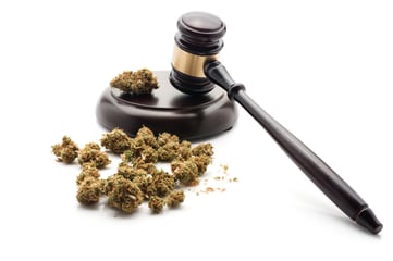 Cannabis regulations-1