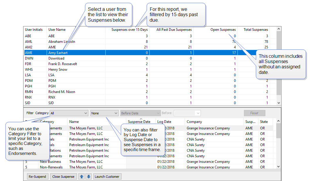 SuspenseReport_helptutorial_cropped