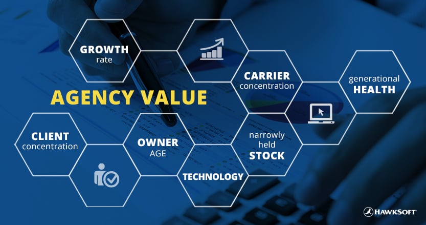 Factors affecting agency value