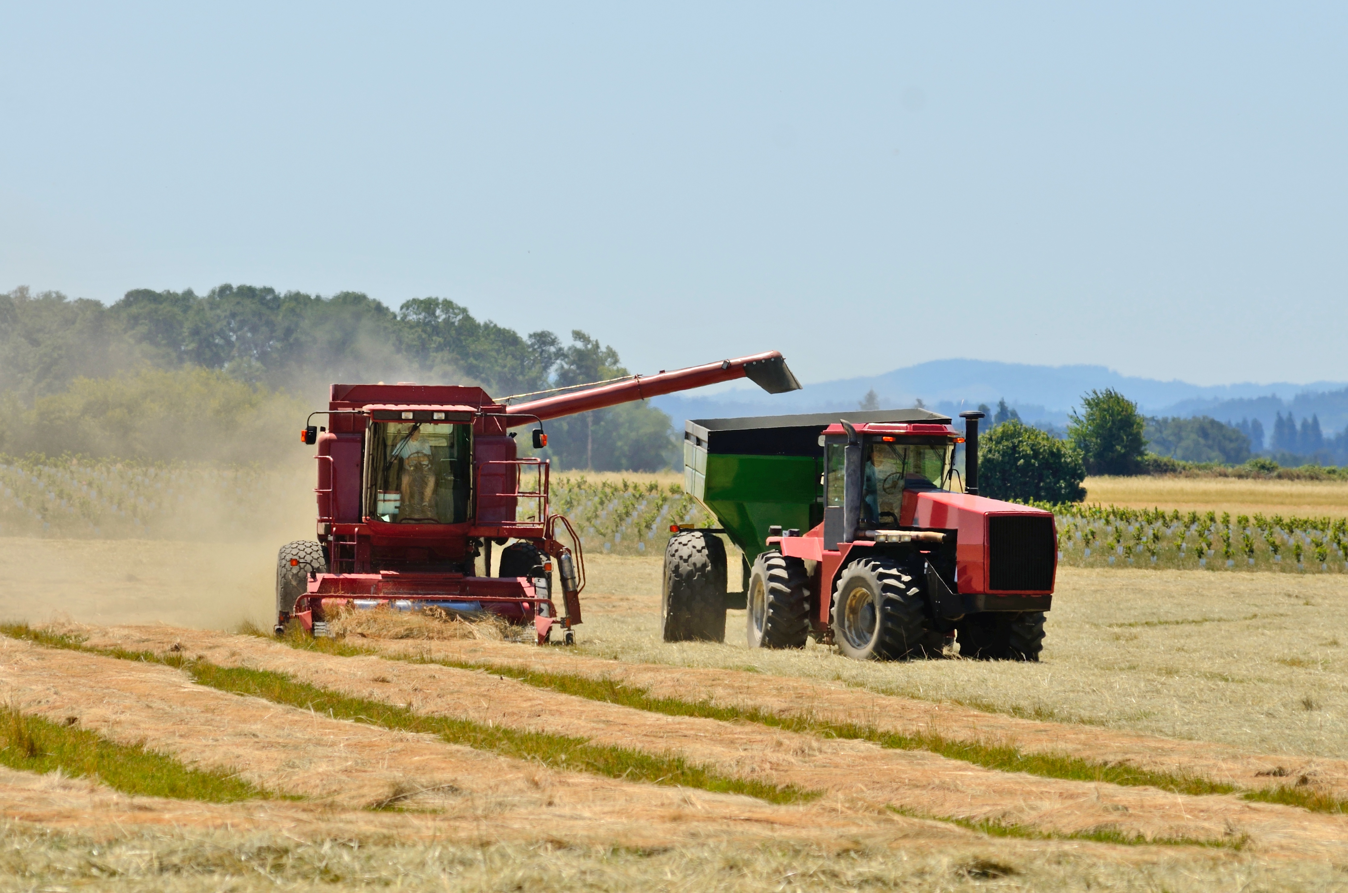 Farmland, Oregon Willamette Valley